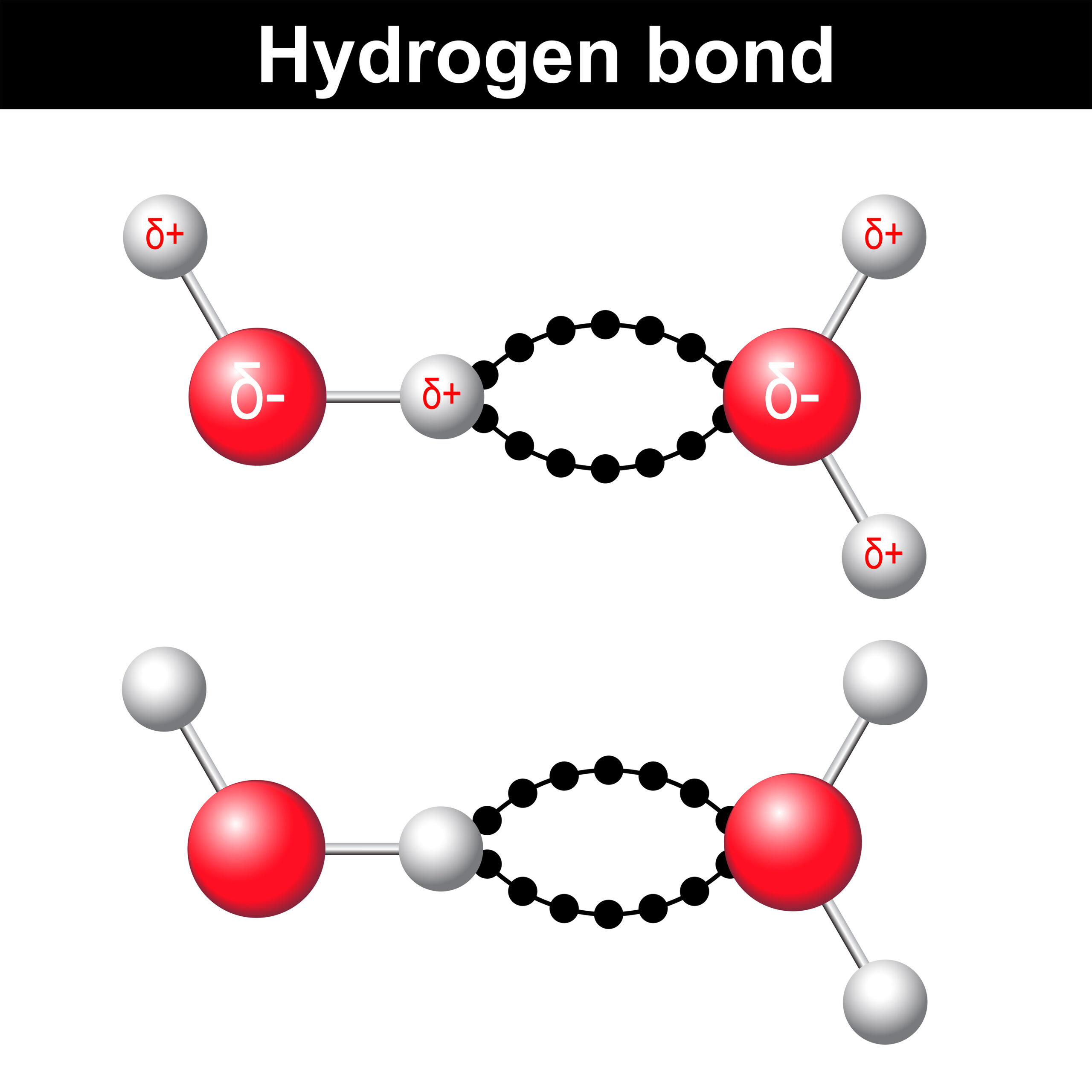 Acid-Base-Physiology